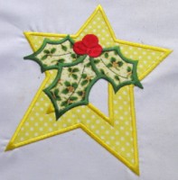 Star With Holly Applique
